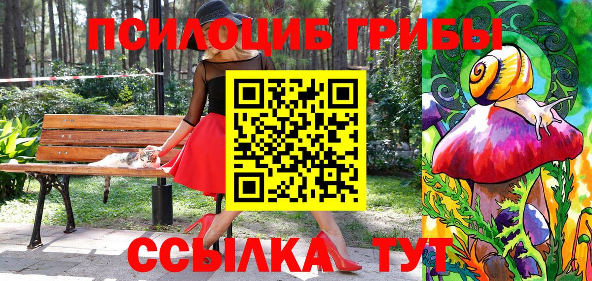продажа наркотиков  Вход с VPN  Верхняя Салда  Псилоцибиновые грибы Psilocybe 