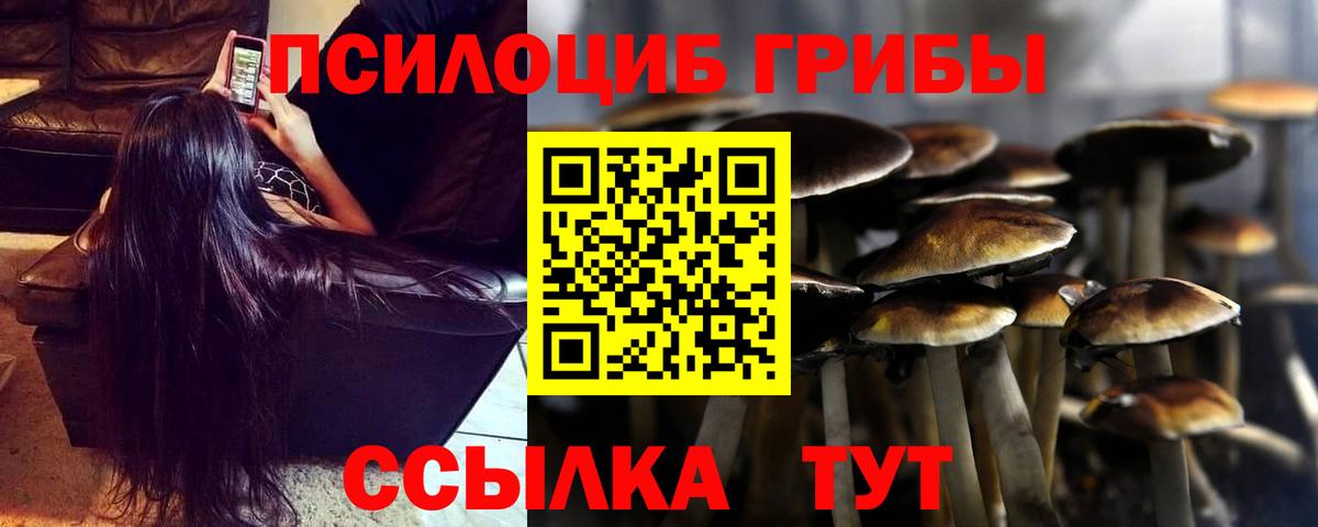 Галлюциногенные грибы GOLDEN TEACHER Верхняя Салда